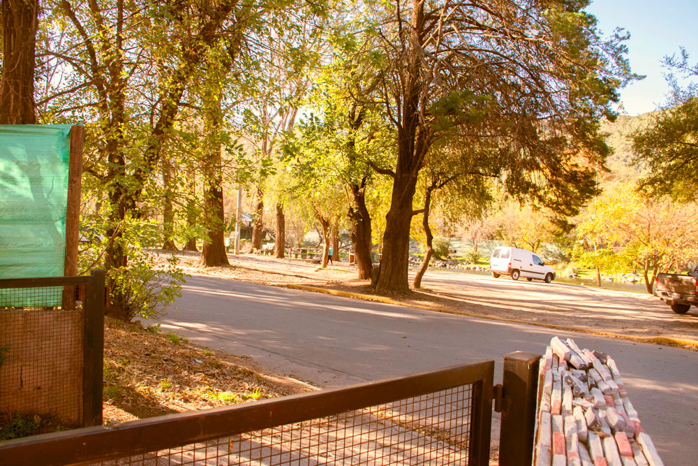 Vista desde el portón